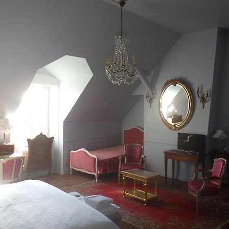 ブロワ Castel De La Comtesse Bed & Breakfast エクステリア 写真