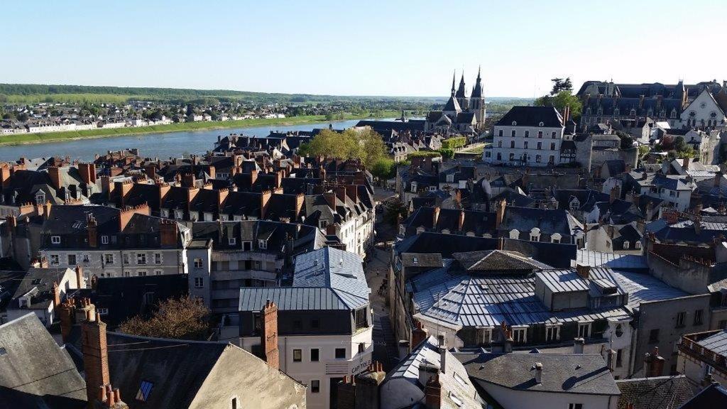 ブロワ Castel De La Comtesse Bed & Breakfast エクステリア 写真