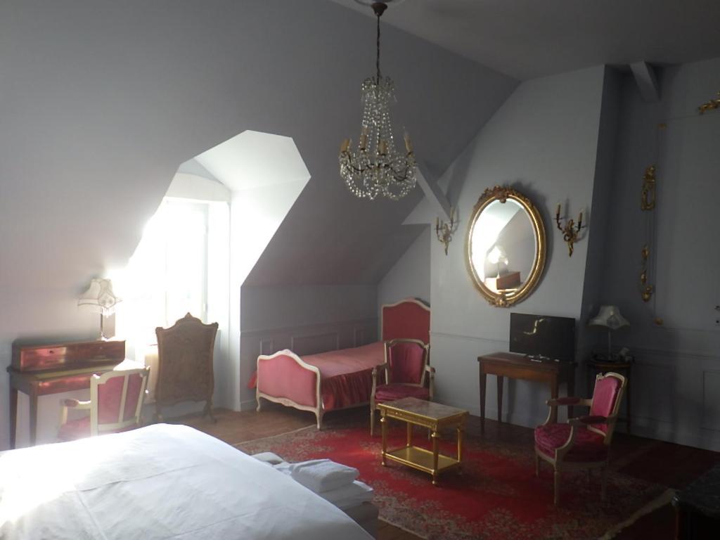 ブロワ Castel De La Comtesse Bed & Breakfast エクステリア 写真